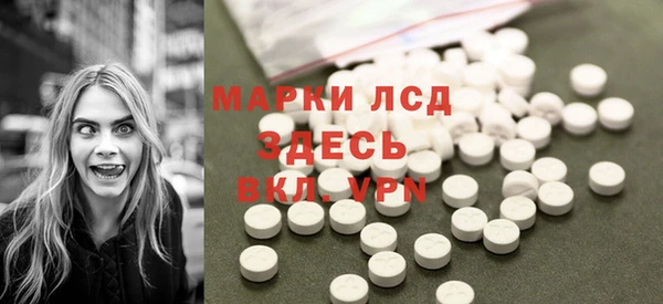 трава Аркадак