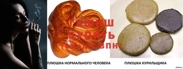 гидра Арсеньев