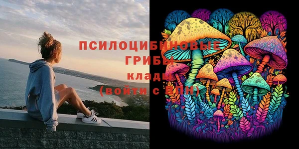 трава Аркадак