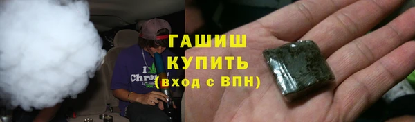 гидра Арсеньев