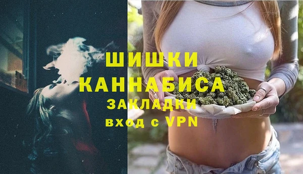 гидра Арсеньев