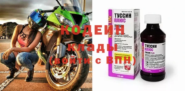 гидра Арсеньев