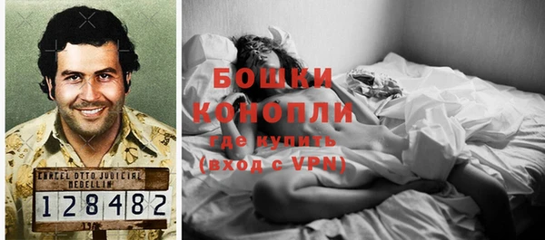 трава Аркадак