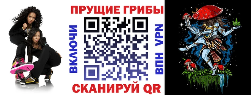 купить Чаплыгин Галлюциногенные грибы прущие грибы